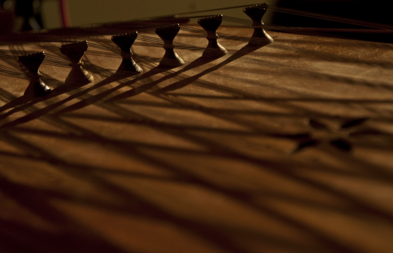 Close-up of a Persian santur's wooden bridges and strings, lit by warm light