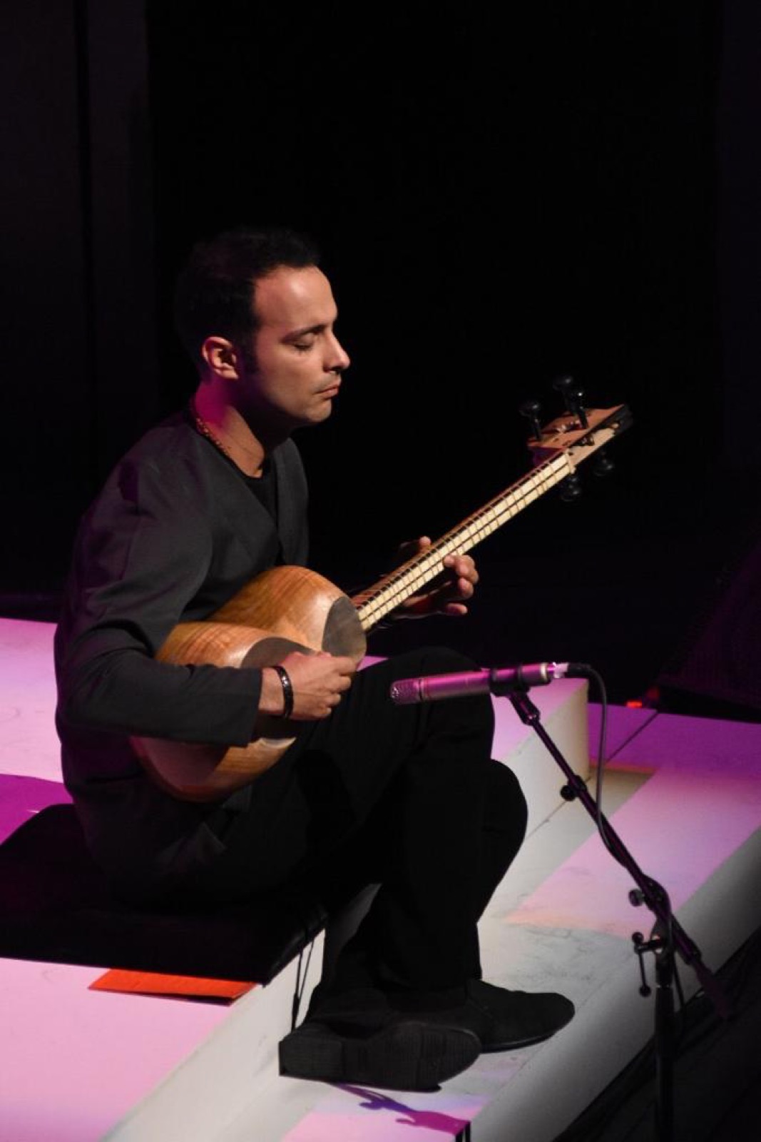 A musician playing the long-necked Persian tar lute on stage